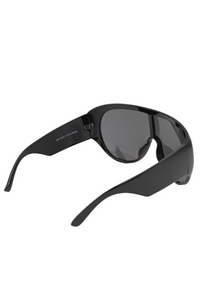 Polarized Goggles Sunglasses